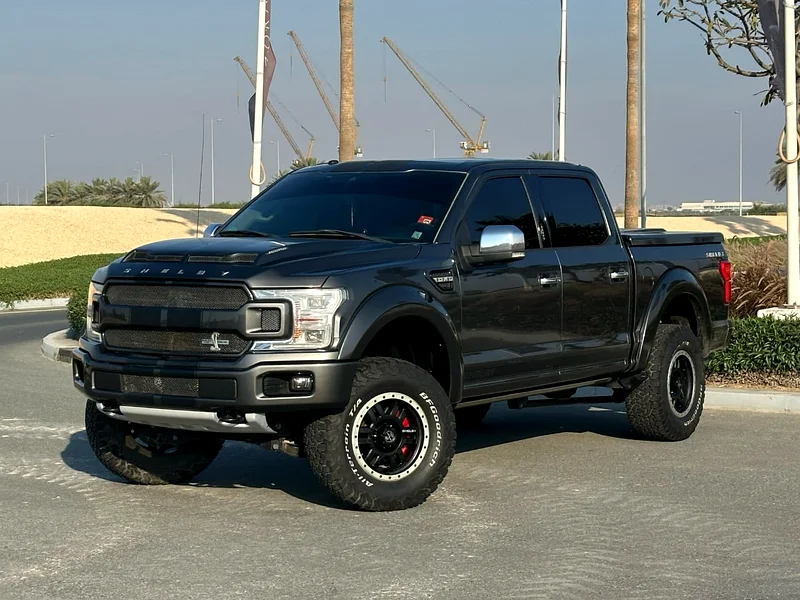 Ford F150 Shelby Raptor 2018 (Desert Beast)632272520332831116