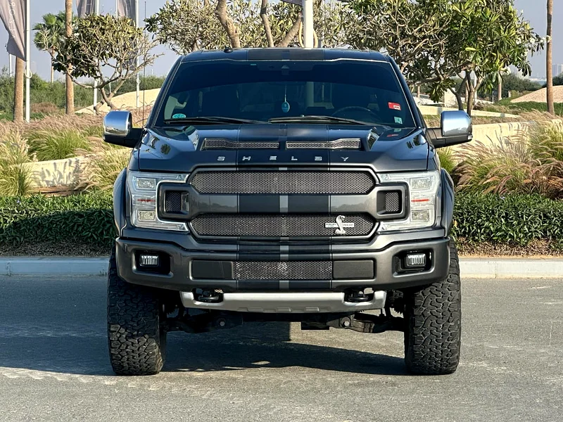 Ford F150 Shelby Raptor 2018 (Desert Beast)63227252033283111