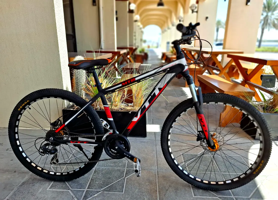 Mountain bicycle