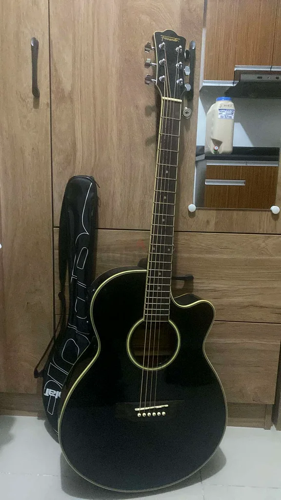 Fernando Guitar63229313437699119