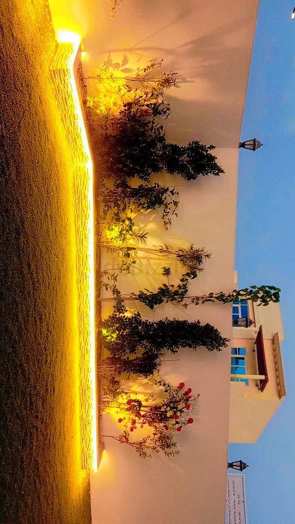 Garden Decor Garden  Outdoor - Transform Your Outdoors Elegant Garden63220322584322114