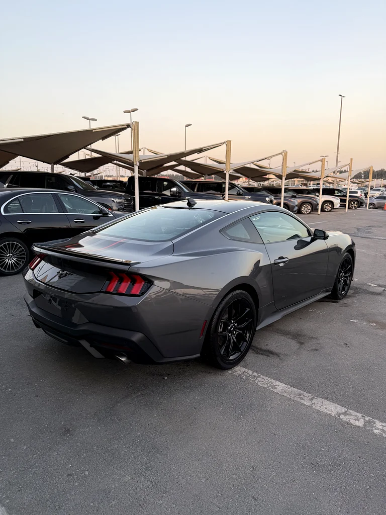 Ford mustang 202463150948447746114