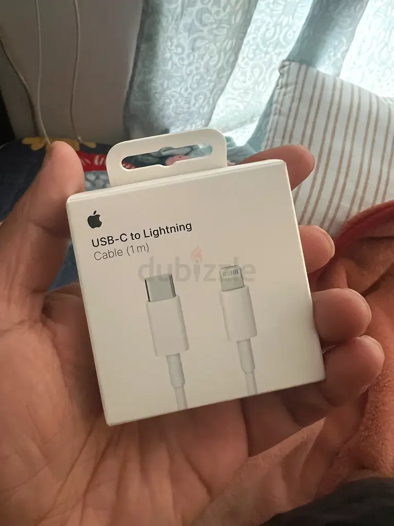 iPhone original Charger