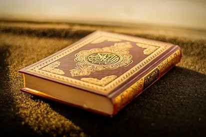 QURAN . Improve Your Quran Reading with Expert Guidance ◽️◽️◽️