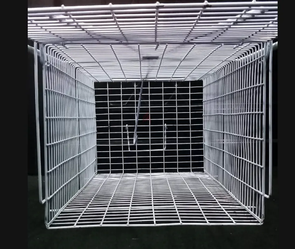 Cat trap63232647975426113