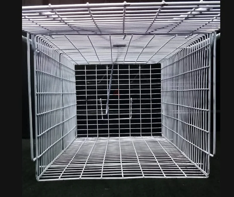 Cat trap cage63232647995779113