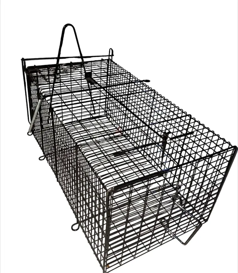 Cat trap63232647975426112