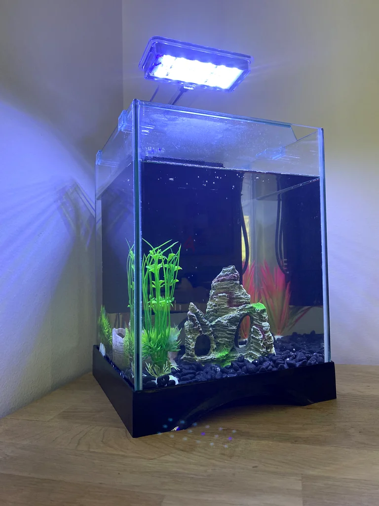Aquarium including filter and accessories629306501552651113