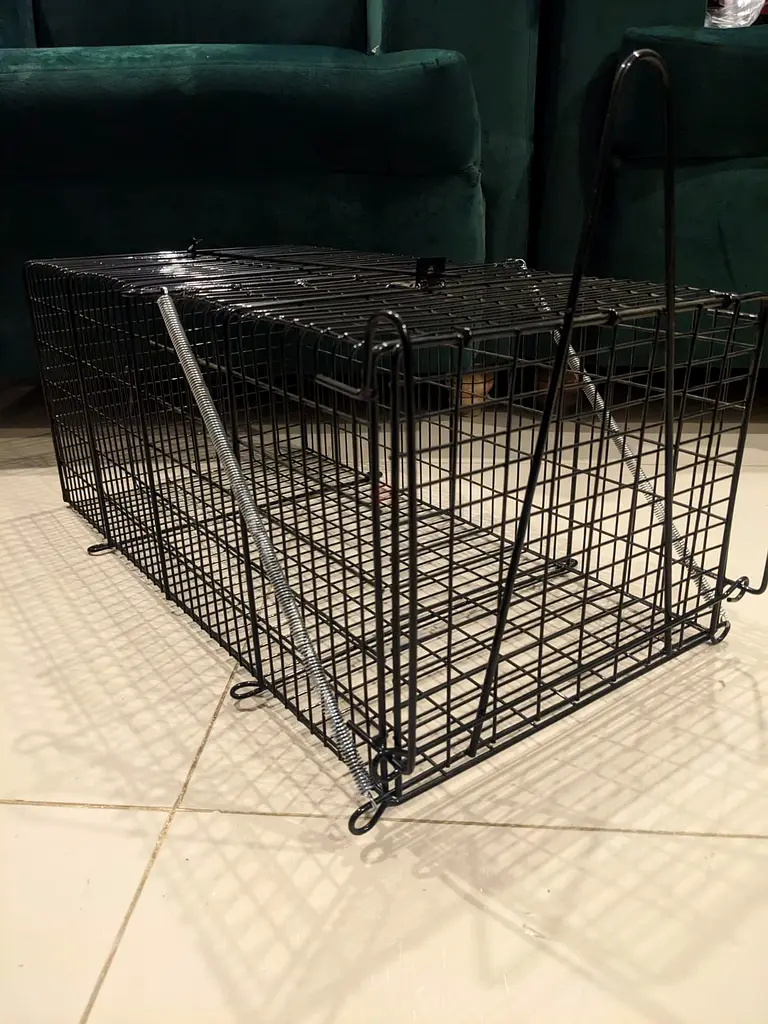 Cat trap cage63232647995779117
