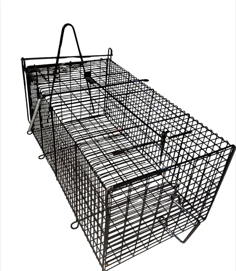 Cat trap cage63232647995779112