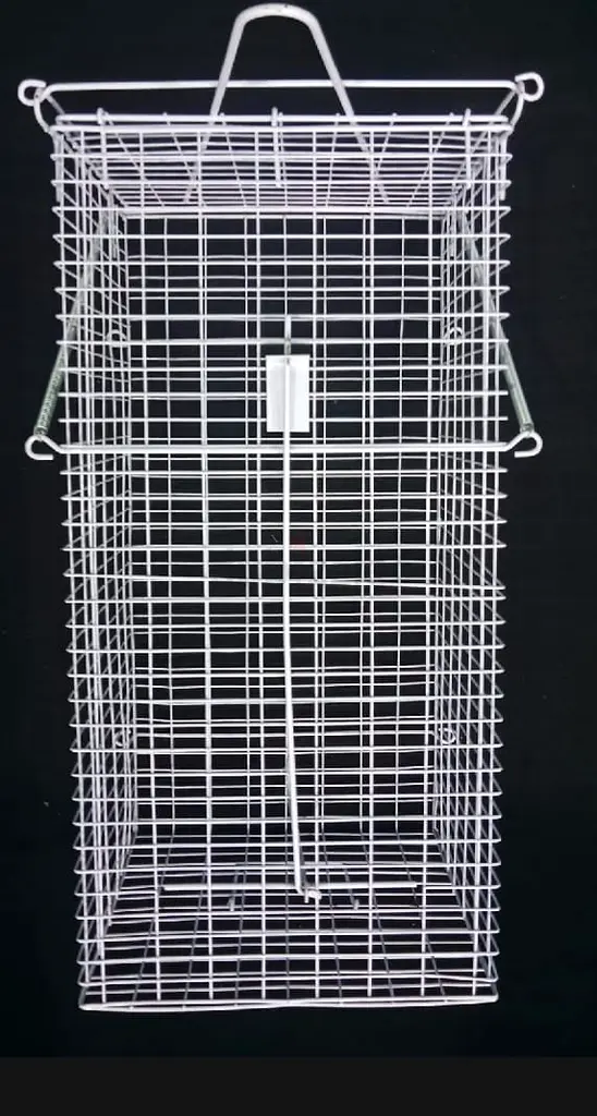 Cat trap63232647975426116