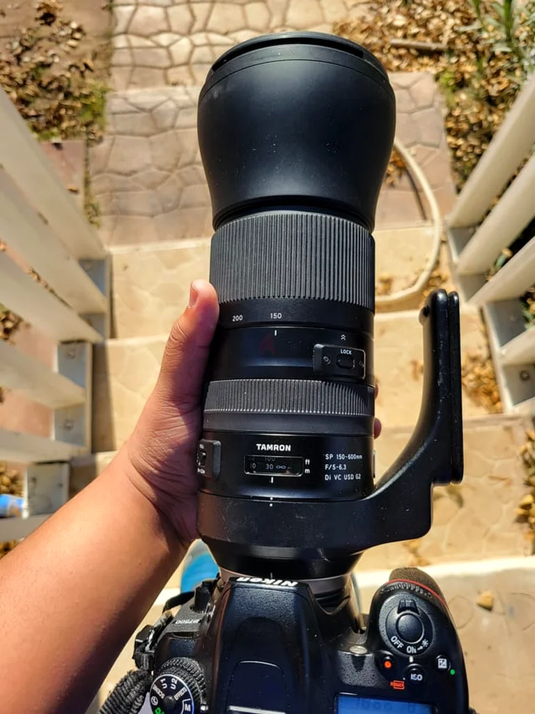 طمر طول بؤري 150-600 جي 1 ل Nikon mount62931672503939111