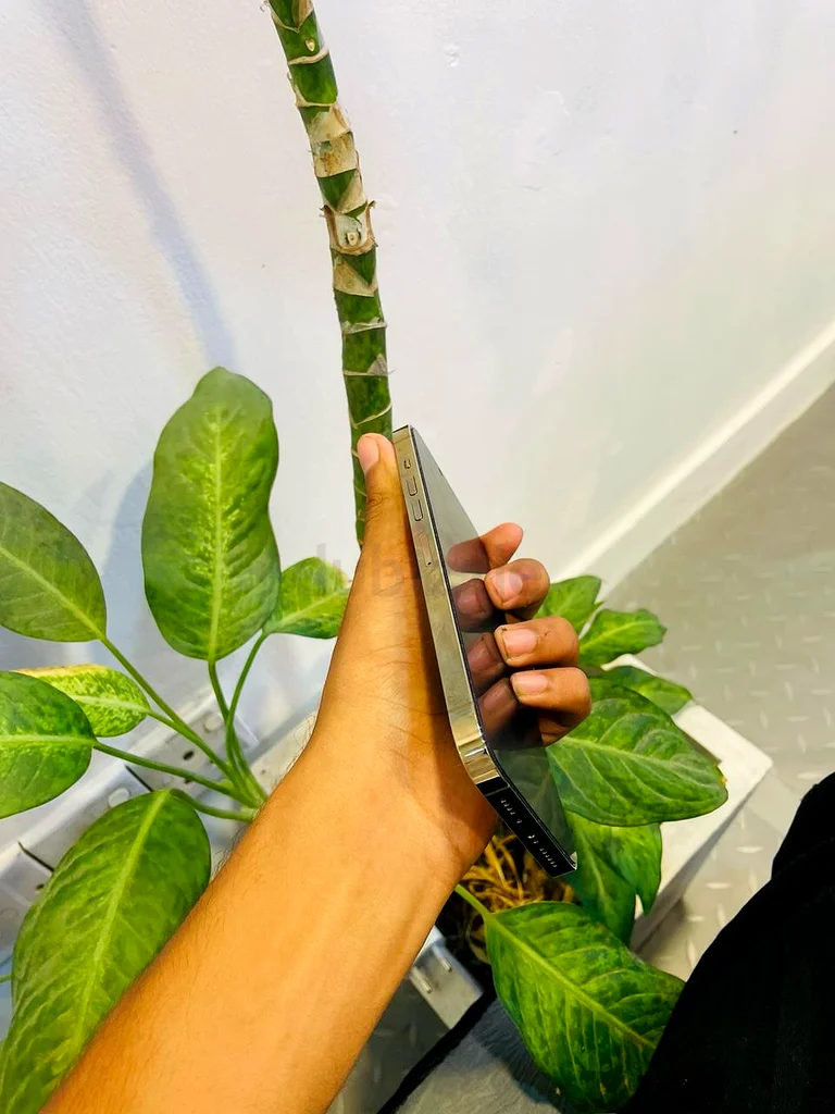 آيفون 13 برو ماكس 1 تيرابايت63213433229826114