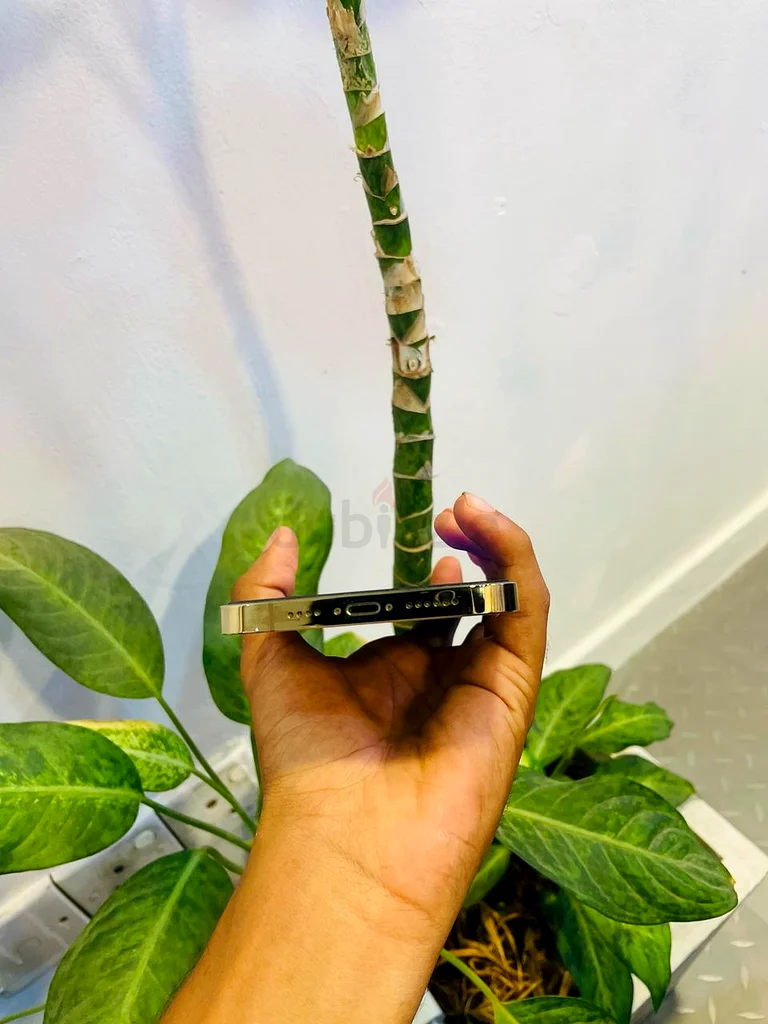 آيفون 13 برو ماكس 1 تيرابايت63213433229826110