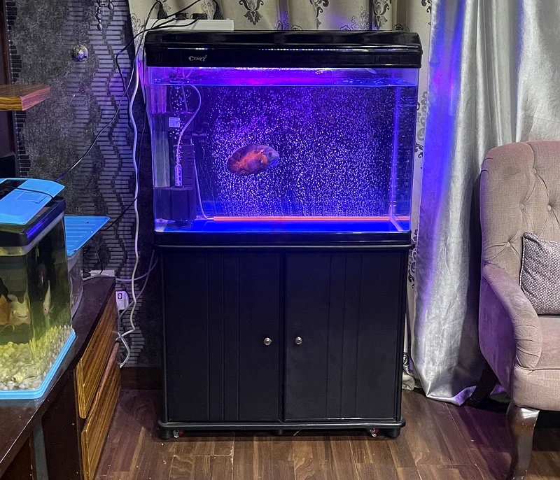 A very good condition aquarium urgent sale63233131614850112