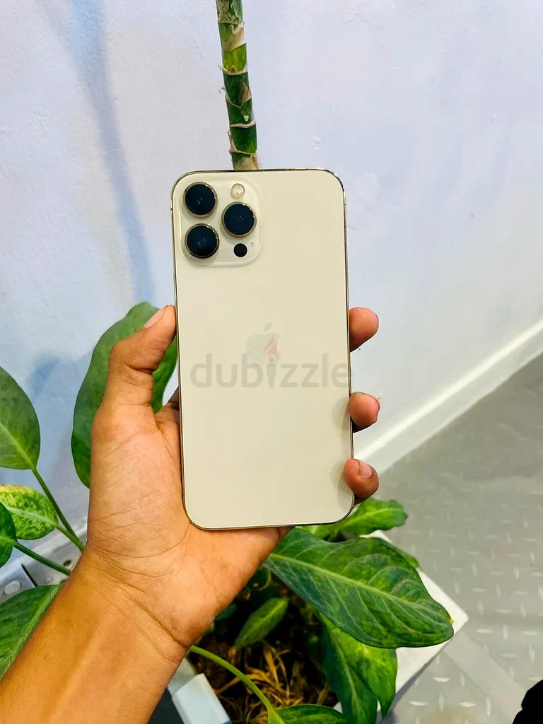 آيفون 13 برو ماكس 1 تيرابايت63213433229826112