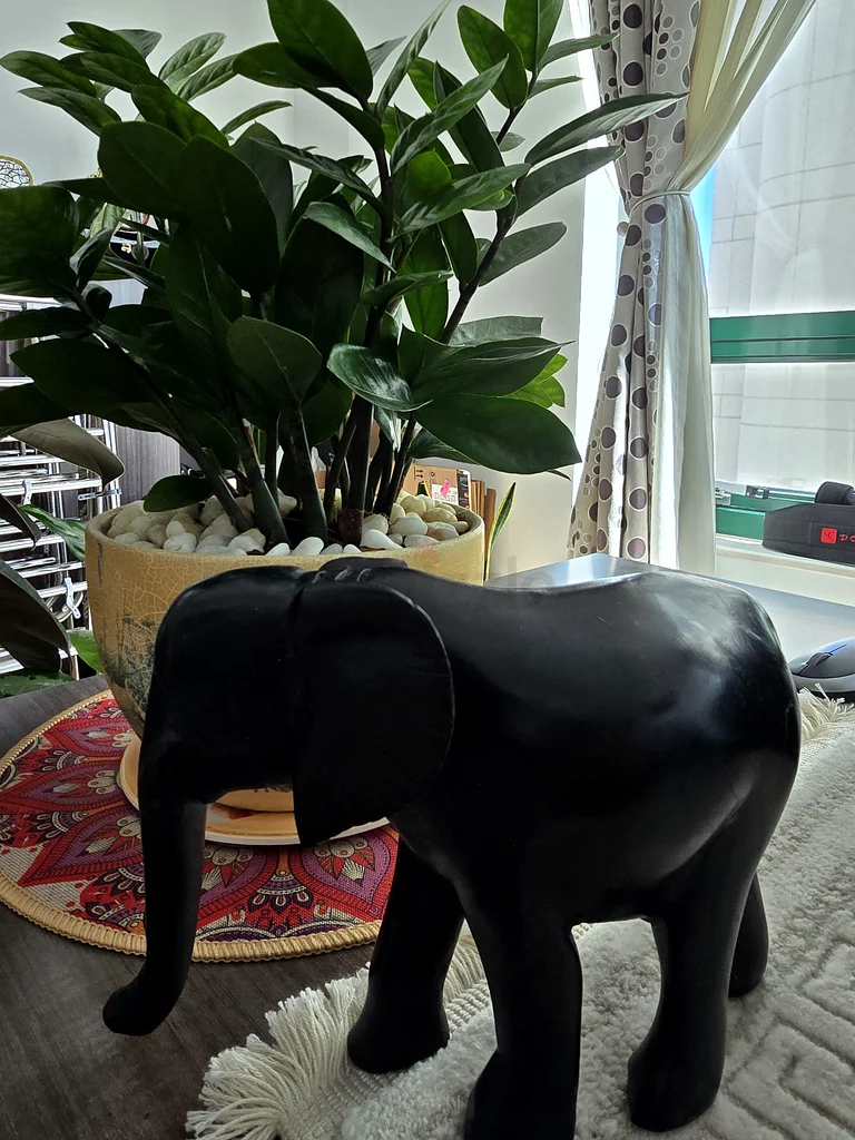 Black Elephant - Unique Home Decor Piece632213476221471119