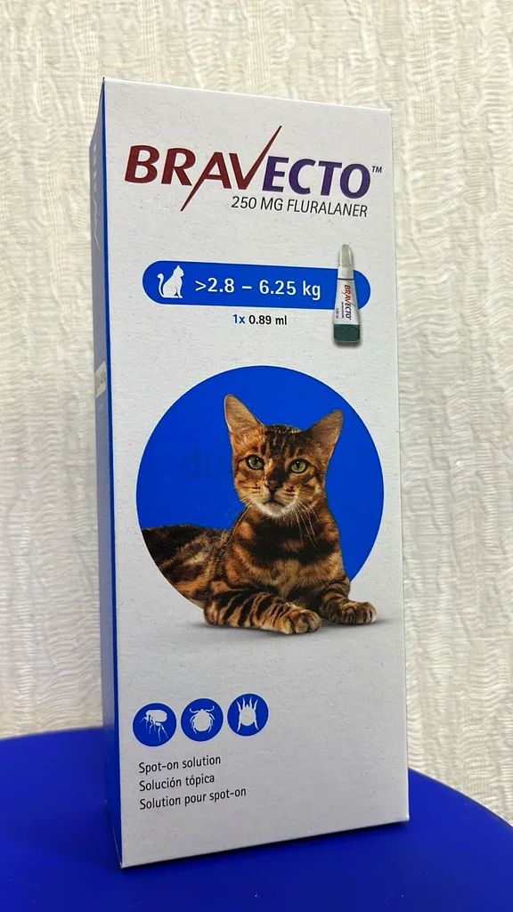 Bravecto Cat Spot On 250mg (2.8-6.25kg)62931680617473112