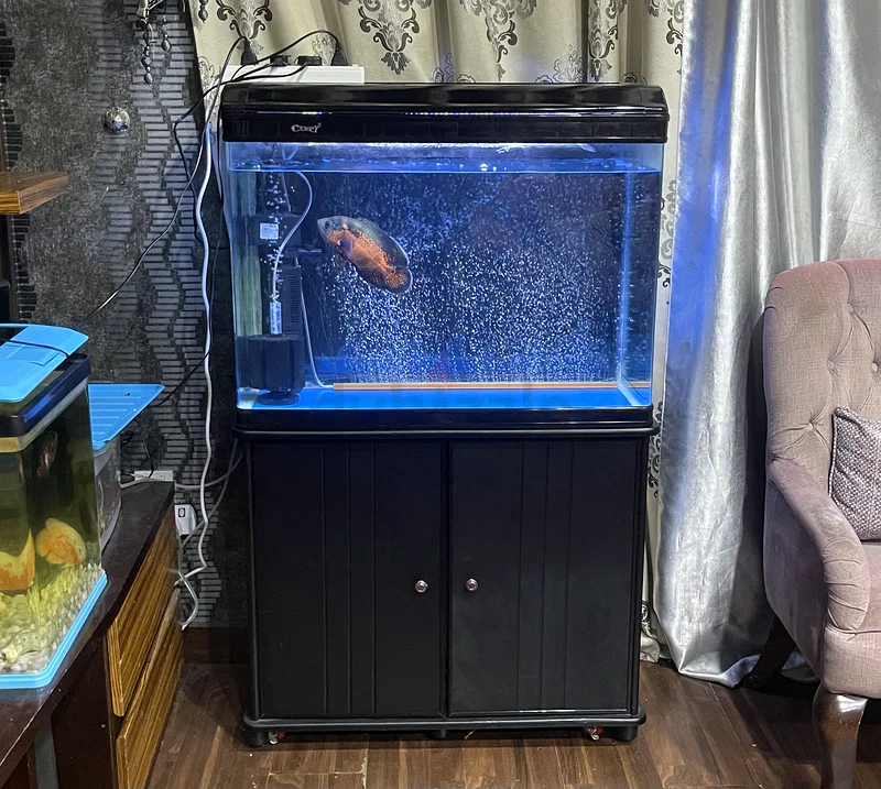 A very good condition aquarium urgent sale63233131614850111