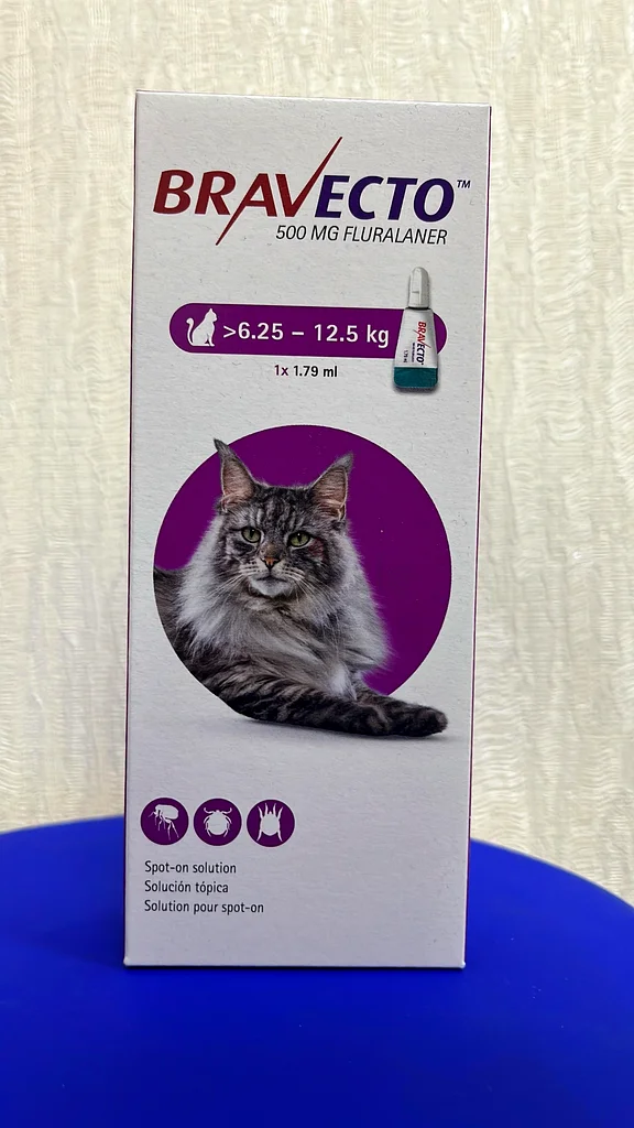 Bravecto Cat Spot On 500mg (6.25-12.5kg)62931680586241112