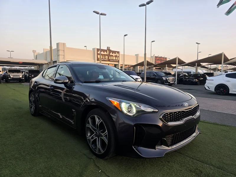 Stinger 2020 very clean v4 1000/Month63224311682947112