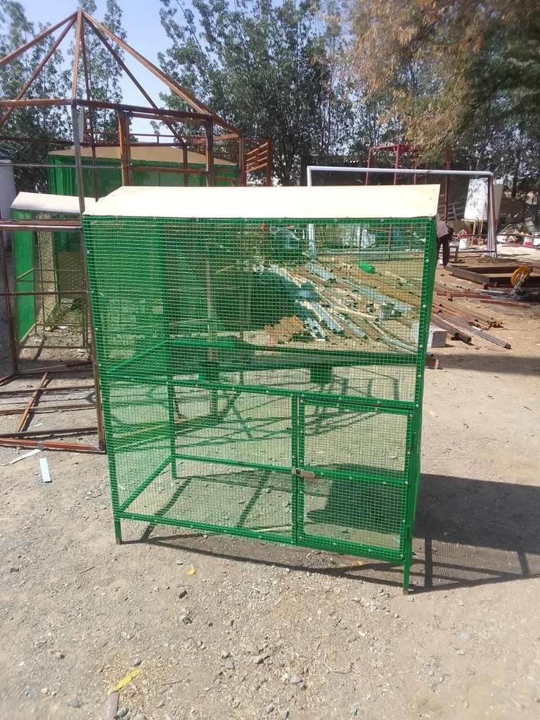 cage 120x60 سم629306504673301127