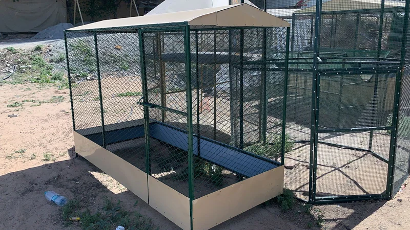 cage 240x120 سم629306504851221123