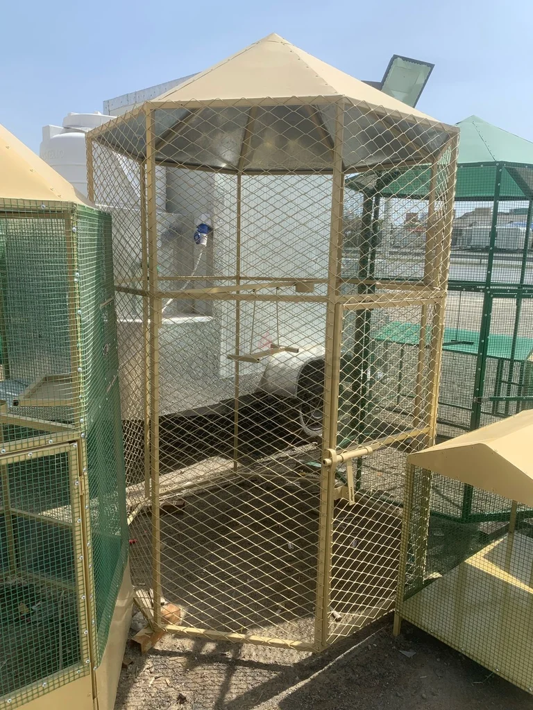 Round Cage629306487023381125