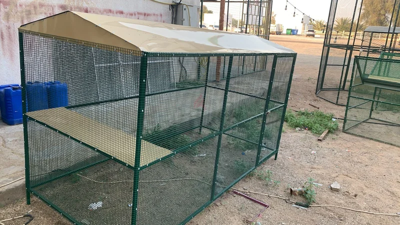 Chicken cage629306487377951124