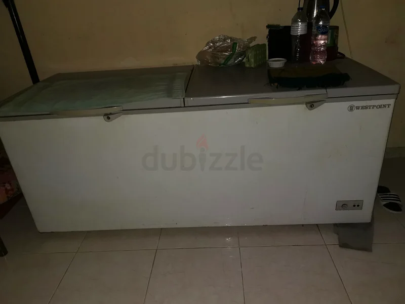 Double Door Defreezer | Good Condition| GreatCooling63168055186049111