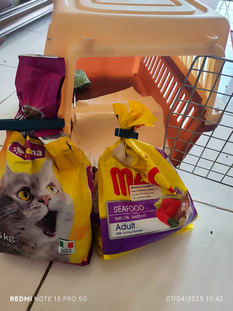 Cat travel box and cat food immediately sale