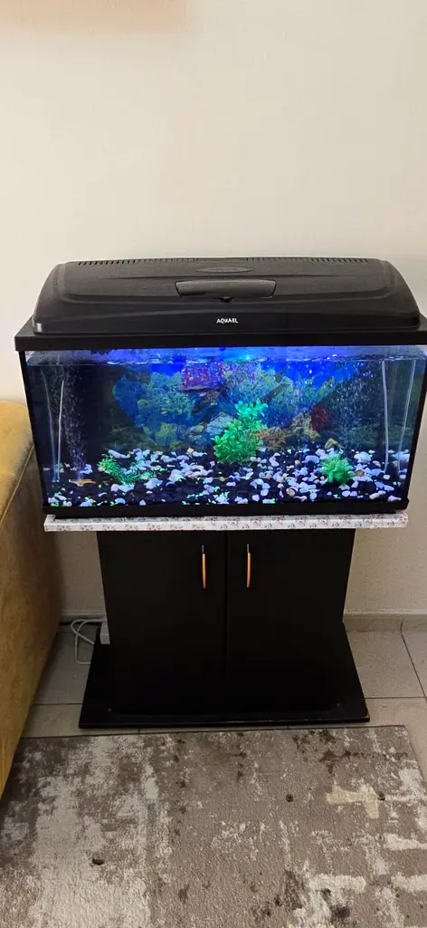 Fish tank