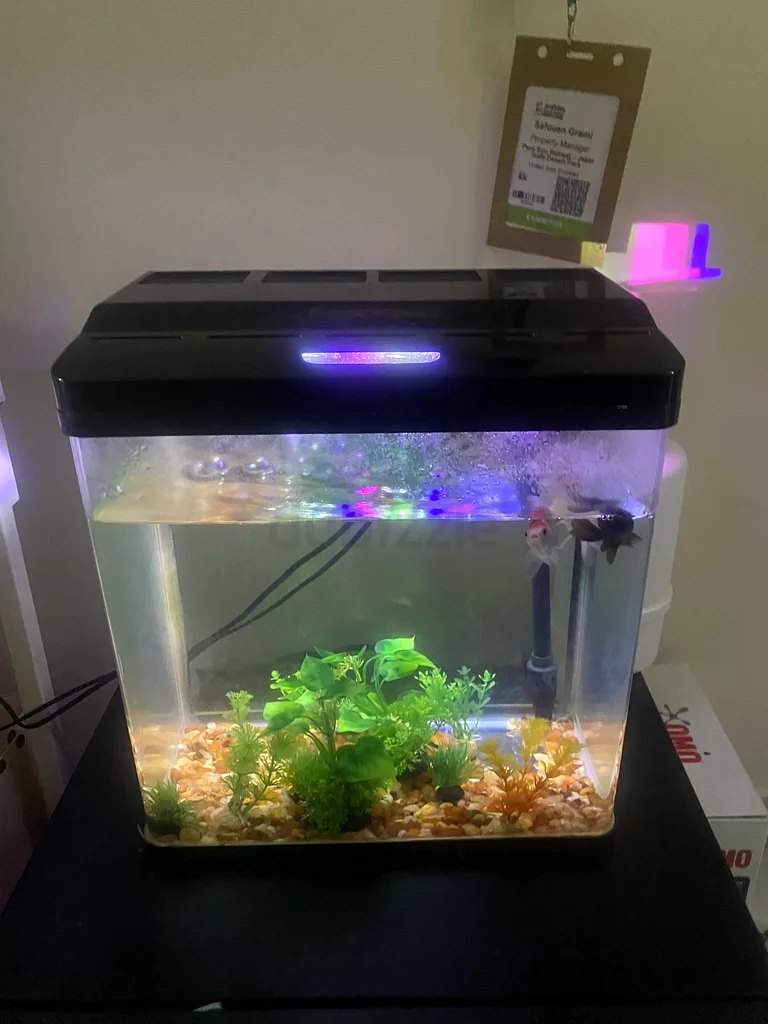 Aquarium63173152067330113