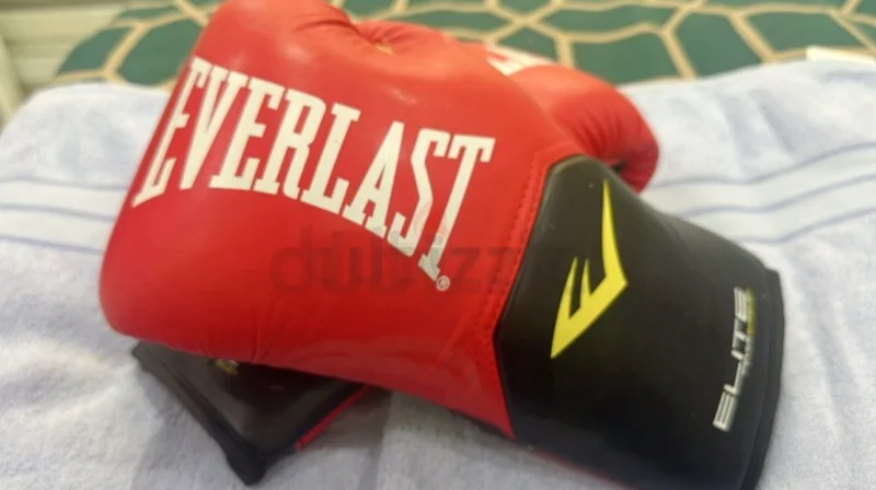 Everlast Elite Prostyle Training Gloves - Unleash Your Fighting Spirit!63241654879362111