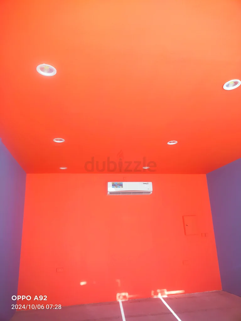 Best quality painting service Very discount price629336988066581113
