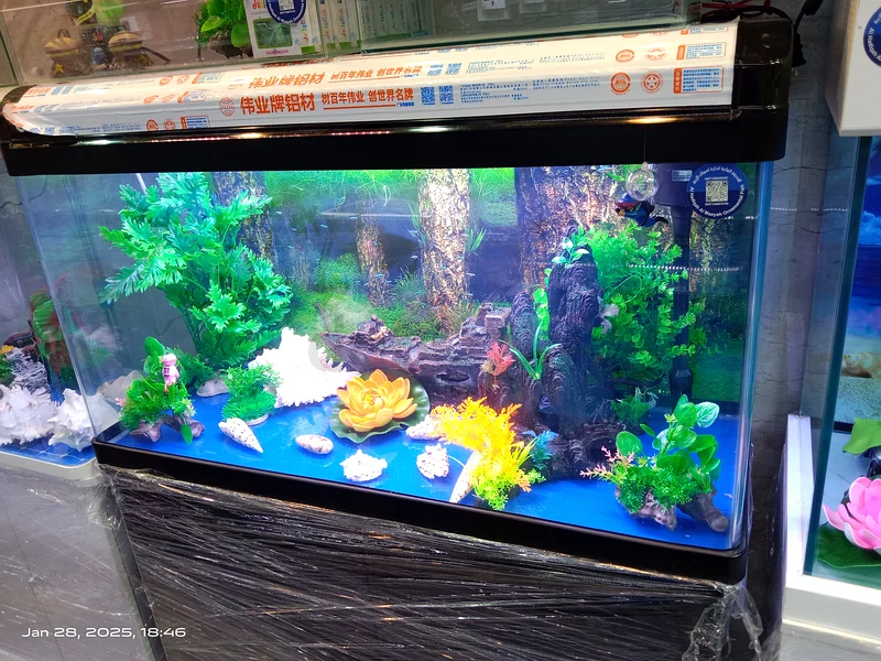 UAE Handmade Fish Tanks: Customized Glass Aquariums63232161483011113
