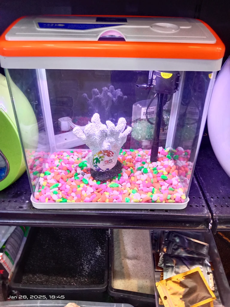 UAE Handmade Fish Tanks: Customized Glass Aquariums63232161483011112