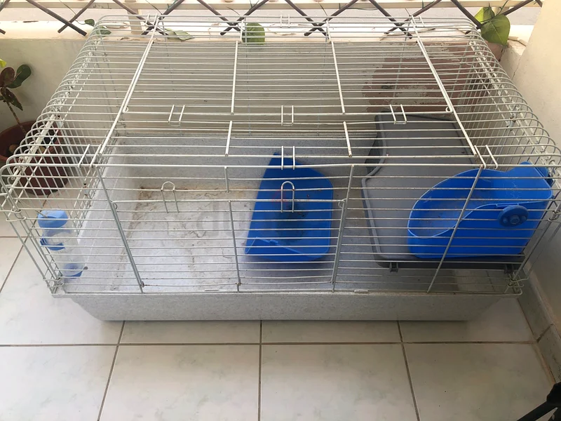 Rabbit cage63173509861123111