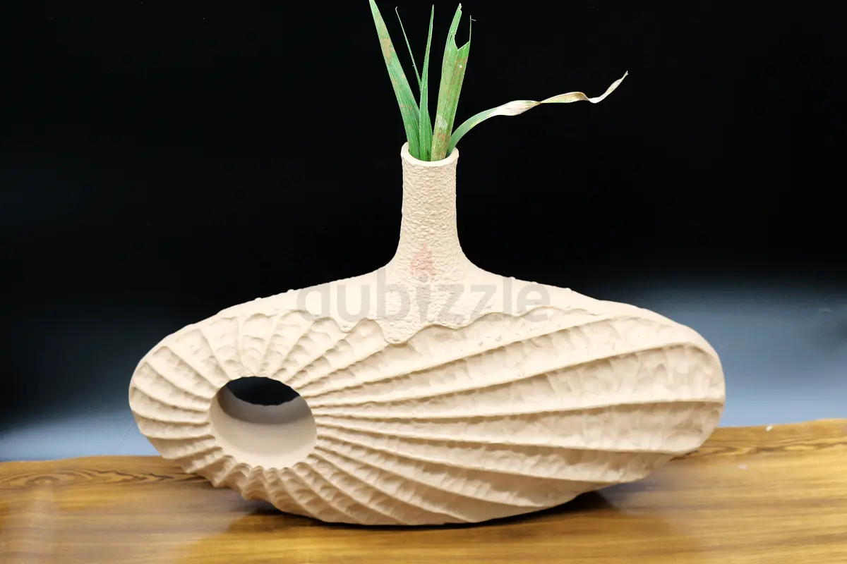 DPV_View_Image_2