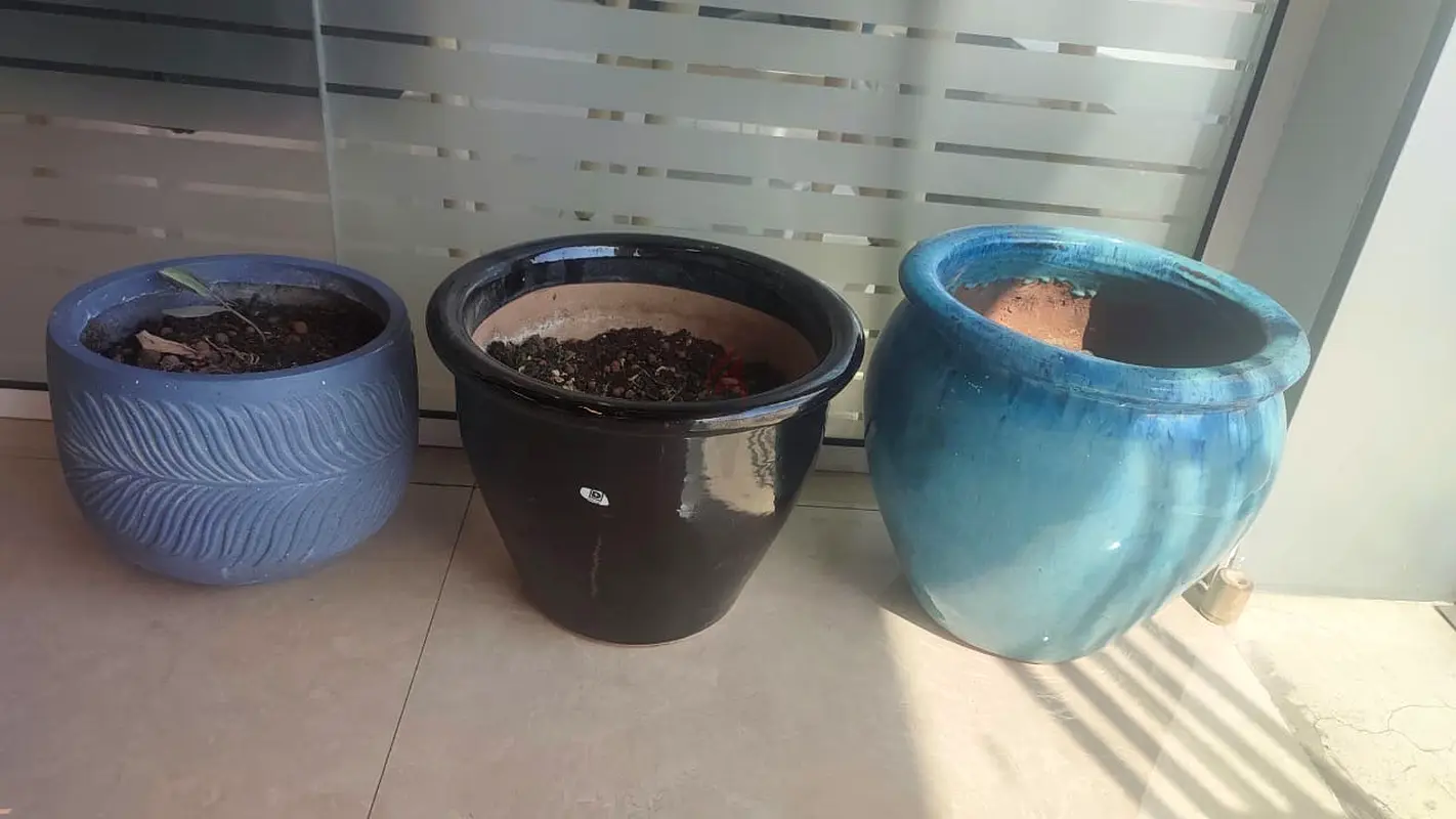 3 plant pots