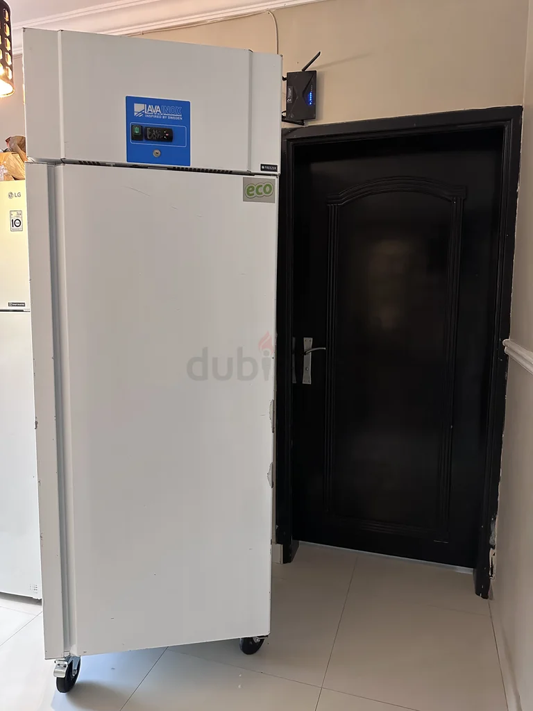 Commercial Chest Freezer - Ideal for Home or Business!629316689016331110