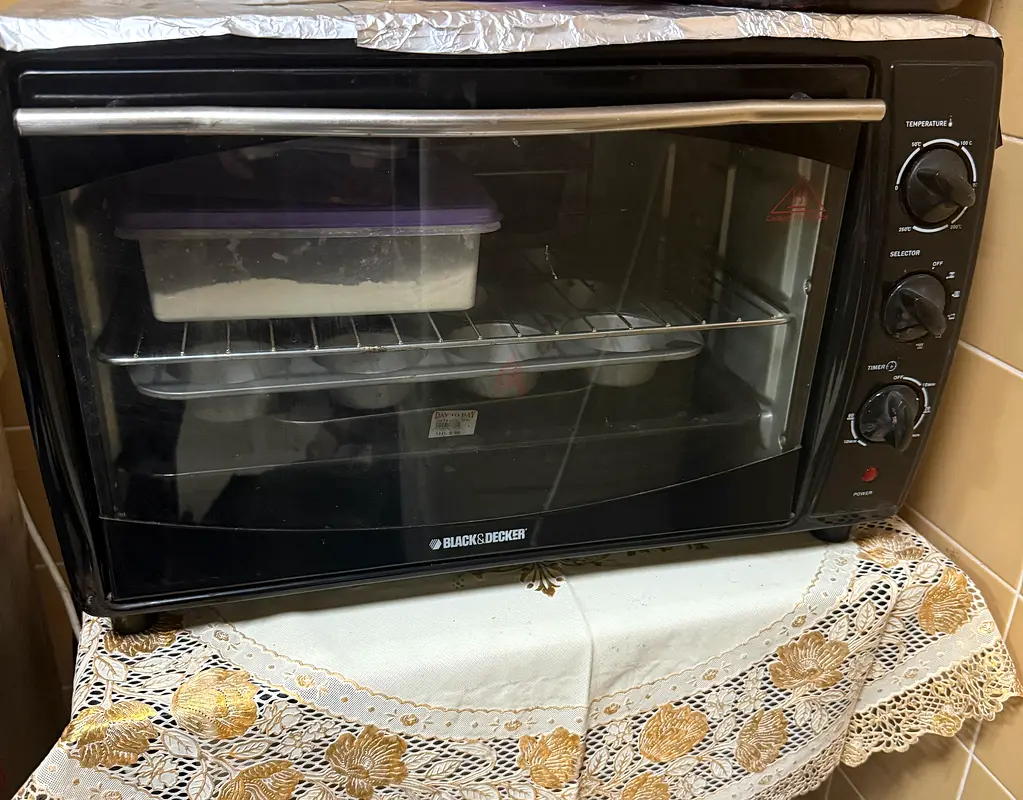 Electric oven