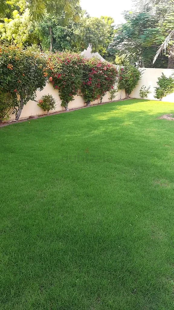 خمسة عشر عامًا من الخبرة63440823612161113