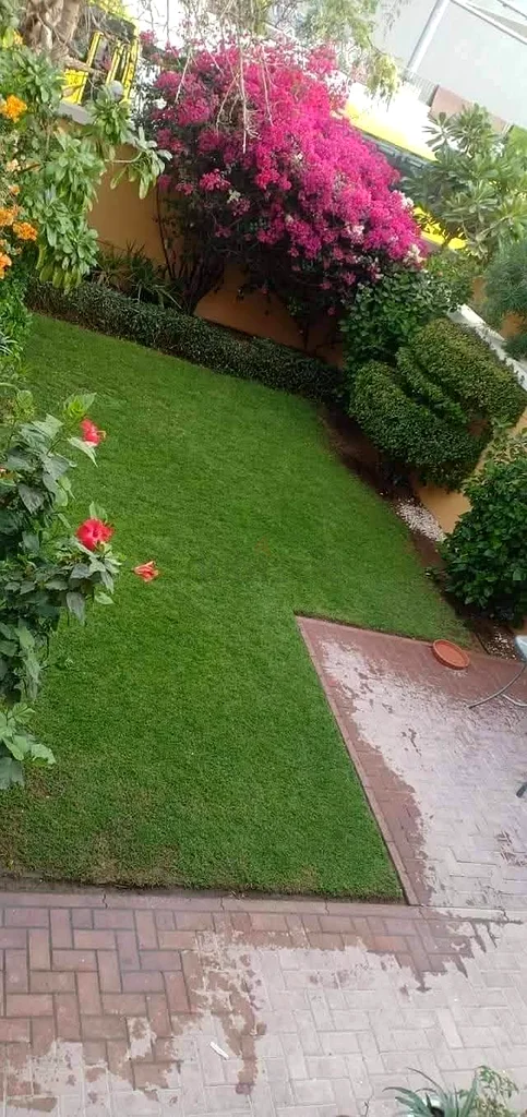 خمسة عشر عامًا من الخبرة63440823612161111