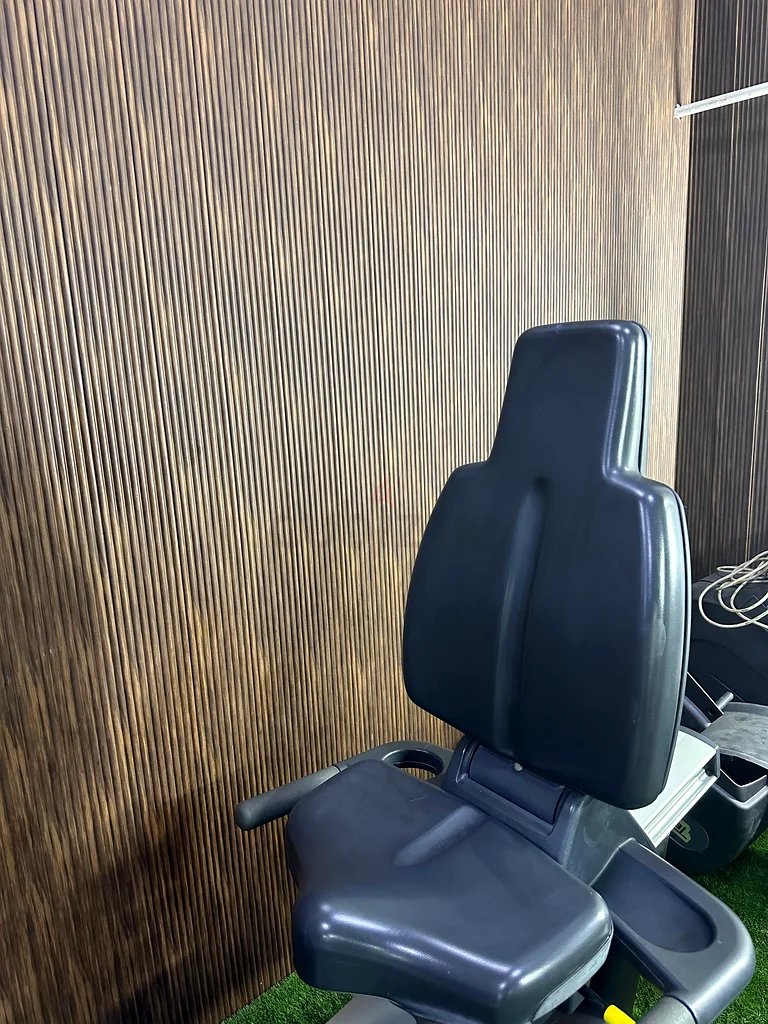 Technogym recline bike in perfect condition63264581797121112