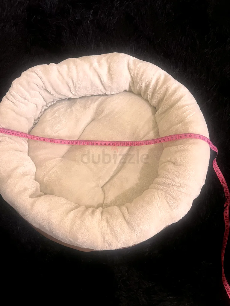 Pet bed63172683842306113