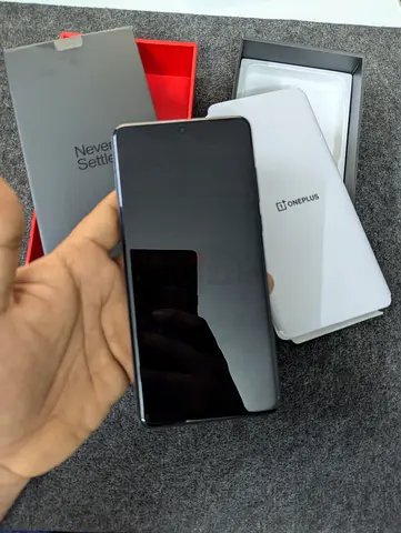 OnePlus 13 16/512 GB Global