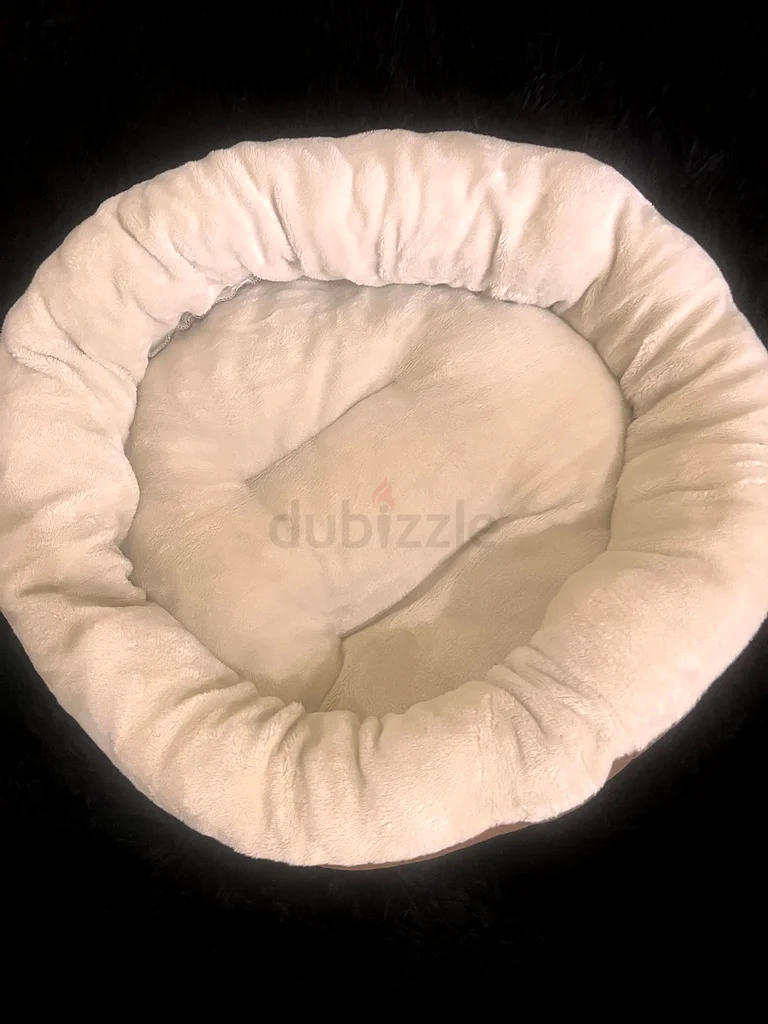Pet bed63172683842306112