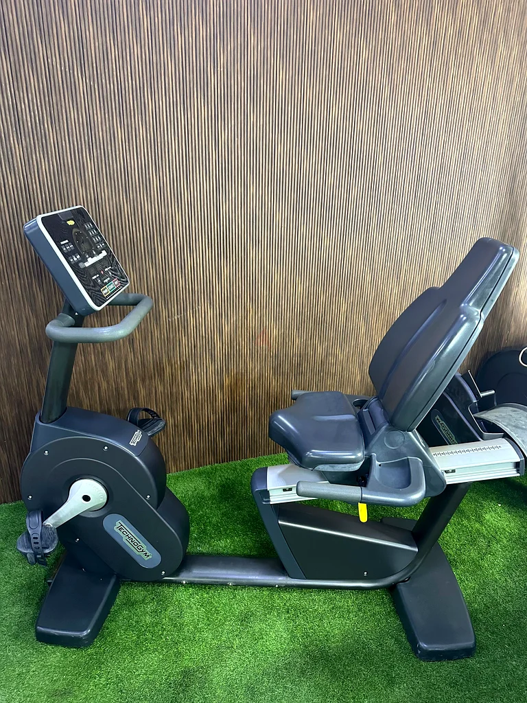 Technogym recline bike in perfect condition632645817971211115