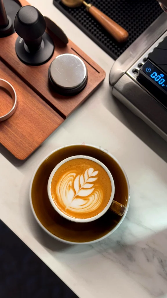 Sage Barista Touch  Espresso Machine63168517323907111